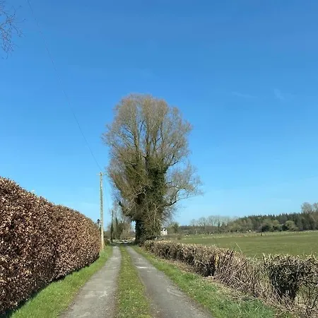 Nyaraló 4 Bedroom, 8 Single Beds, With Free Parking & Wifi Near New Walkway