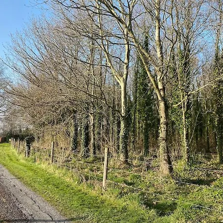 4 Bedroom, 8 Single Beds, With Free Parking & Wifi Near New Walkway Nyaraló *